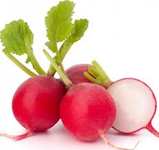 RABANITOS