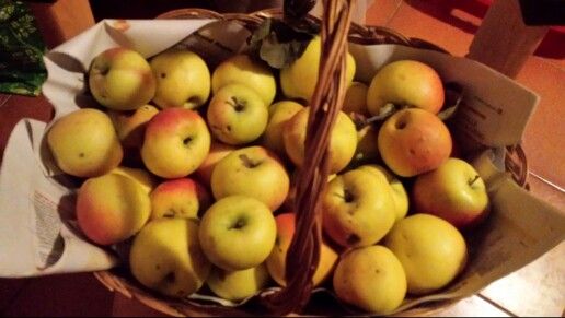 MANZANA DE MONTAÑA