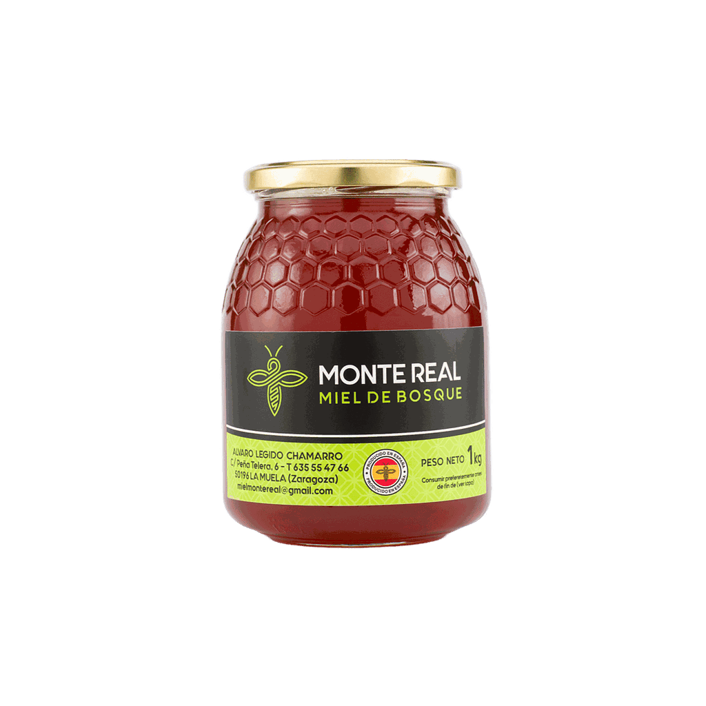 Miel bosque 1kg MONTE REAL