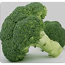 BROCOLI