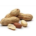 CACAHUETE CASCARA NATURAL KG SALMANTINA