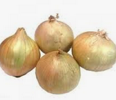 CEBOLLA SEMI SECA