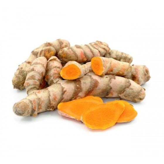 Curcuma