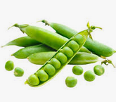 GUISANTES ARAGON