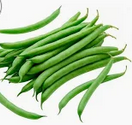 JUDIA VERDE REDONDA