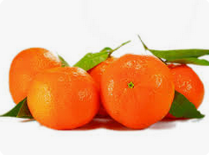MANDARINA