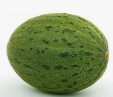MELON PIÑONET 