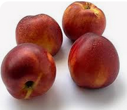 NECTARINA