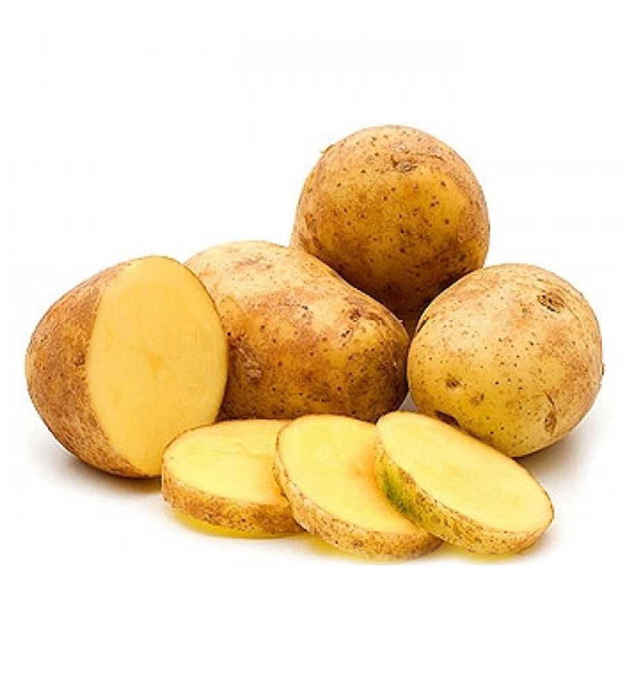 PATATA AGRIA