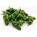 PIMIENTO PADRÓN