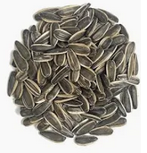 PIPA GIRASOL CASCARA TOSTADA KG