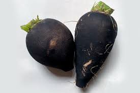 RABANO NEGRO