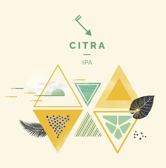 CERVEZA IPA 6,2º LATA CIERZO CITRA 44CL