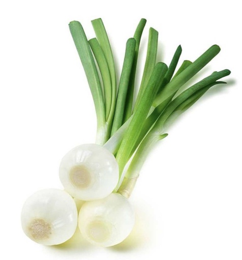 [5082] CEBOLLETA MANOJO