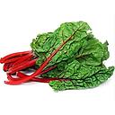 [80] Acelga Roja