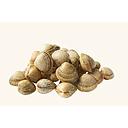 [3353] BERBERECHO Isma Pescados