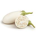 [5034] BERENJENA BLANCA