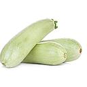 [2142] CALABACIN BLANCO