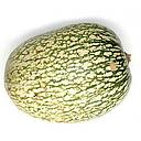 [2332] CALABAZA CABELLO DE ANGEL