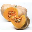 [7030] CALABAZA PROVENZA