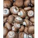 [2088] CHAMPIÑON PORTOBELLO