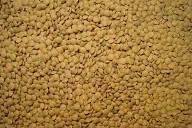 [7236] LENTEJA ESTON KG SALMANTINA