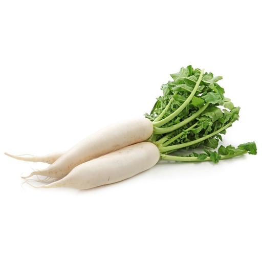 [5245] NABO DAIKON/BLANCO