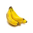 [5318] PLATANO CANARIO