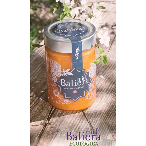 [3219] MIEL MIL FLORES BALIERA 470G
